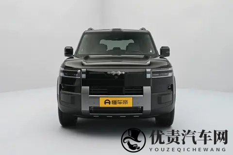 家庭用车选它不纠结！空间大、能耗低、续航长，带娃出行超省心-2