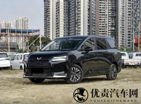 五菱星光730正式上市，四种车色可选，提供三种动力系统-1