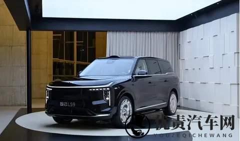 定价不讲武德，配置降维打击，智己LS9引领了一场“价值回归”-1