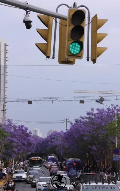 绿灯不走也违法？交通规则背后的那些你不知道的事-3