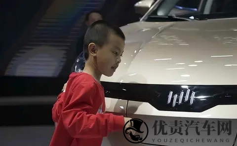 一夜负债200亿？电动车巨头轰然倒塌：终于活成贾跃亭信徒-1