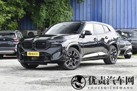 全新宝马X8登场：溜背设计引热议，智能与运动兼备瞄准中产新需求-1
