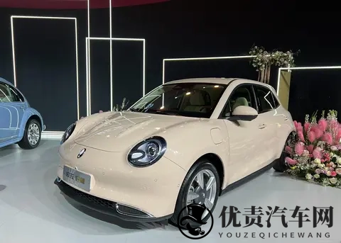 靠欧拉5这款纯电SUV，长城欧拉能不能翻盘？-1