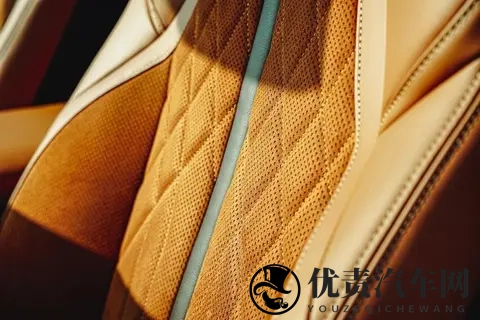 Nappa真皮普及背后:车企宣传的“文字游戏”该停了-3