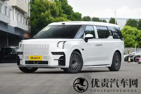 极氪 009 到底好不好？300 公里家庭体验，优缺点都藏不住了-3