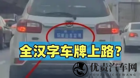 全汉字车牌上路被人举报？交警来到笑了：我真管不了-1