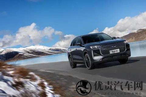 10万元级大五座SUV，全新瑞虎8上市，这价格你满意吗？-2