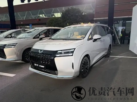 官方指导价730-1098万元 五菱星光730正式上市-2