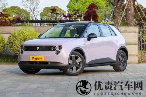 蔚来萤火虫新车型亮相：高功率电机升级，续航420公里-1