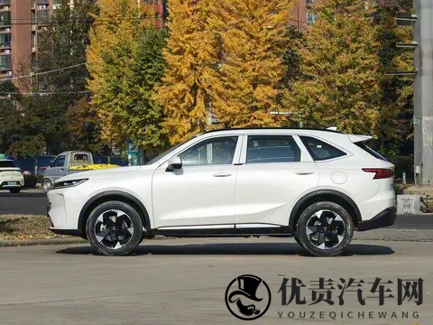10万级燃油王者！长轴版哈弗H6即将上市，定位中型SUV，搭载20T-1