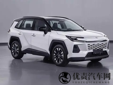 威兰达换新，油车不慌，混动更香-2