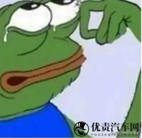 国产混动热效率飙升，数据比实际跑得快，消费者被数字牵着鼻子走-3