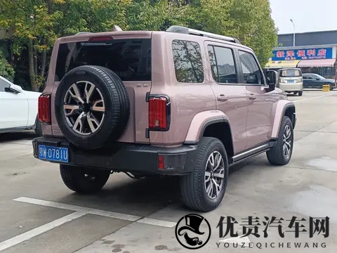 14万多拿下硬派越野!22年坦克300,圆你诗和远方-1