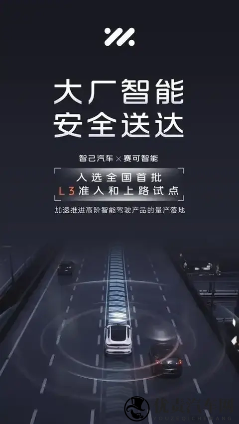 智己五年的对与错-1