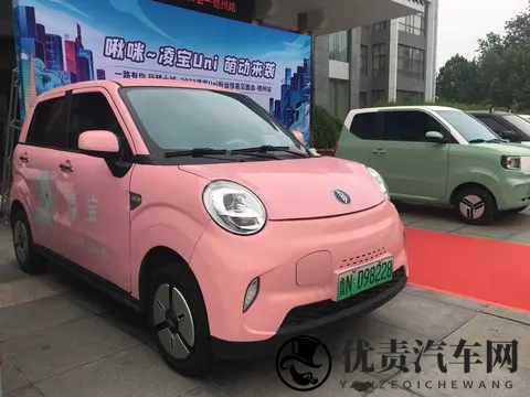 一天了解一个汽车品牌:凌宝-3