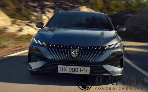 标致新款E-308：450km续航+32分钟快充，家用颜值双在线-3