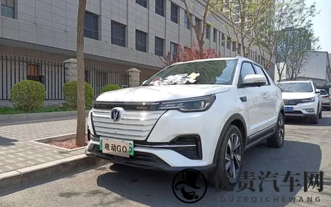 长安汽车:从历史变迁到新能源突破,独特发展路径待探讨?-2