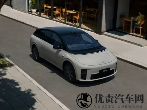 份额连续三月下滑，理想转战纯电，增程要亡？明年这些车要出大招-3