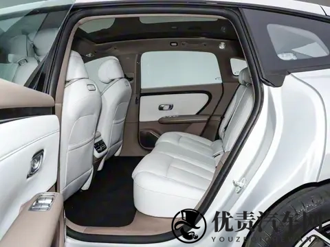 有高级感了！这台大空间绿牌家轿只要1099万元起-3