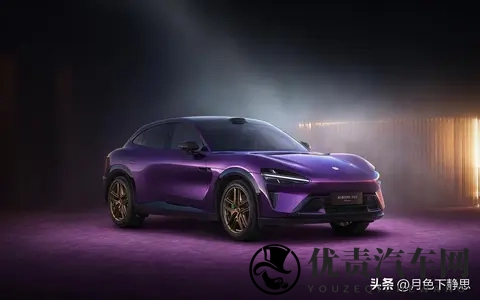 购置税减半倒计时,17家车企自掏腰包兜底,现在买车到底值不值?-2