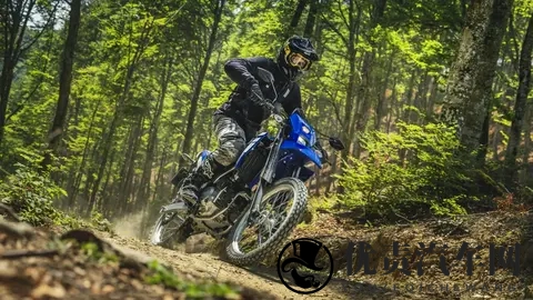 一款小型雅马哈耐力赛摩托车 WR 125 R，具有可变气门正时功能-1