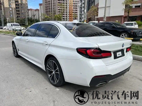 27万不到,圆你蓝天白云梦?21款宝马5系代步香不香?-1