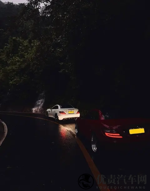 性能车 _家用轿车,山路表现差异-1