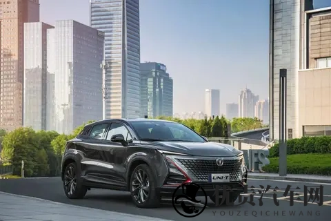 识别汽车发动机状态，老司机教你一眼看明白-2