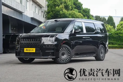 极氪 009 双 11 限时惠，多座豪华，承包家人舒心出行-2