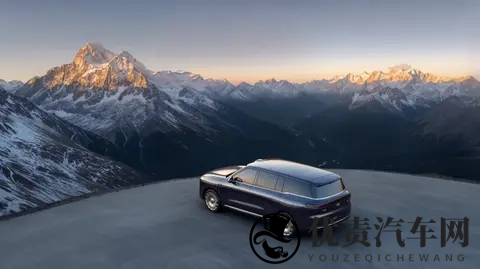 智己五年的对与错-2