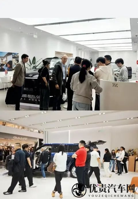 上汽旗舰智己LS9到店,看车队伍让销售倍感压力-3