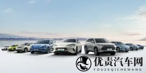 10月车市惊爆:卖10辆国产车8辆是新能源!自主品牌杀疯了-3