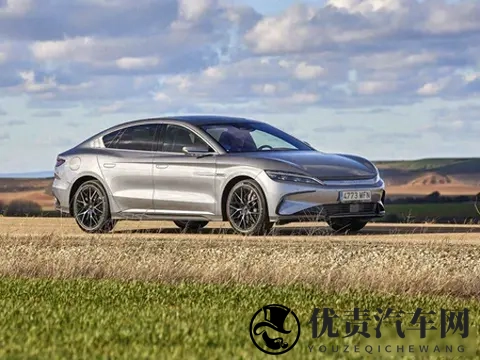 插混车在欧洲被骂骗补，中国车主却当宝用，这事儿真挺魔幻-2