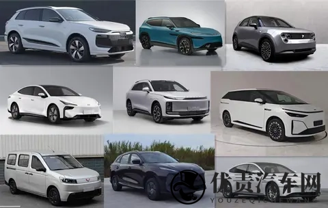 工信部第401批新车:“金标大众”殊死一搏-3