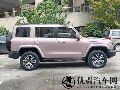 14万多拿下硬派越野!22年坦克300,圆你诗和远方-3