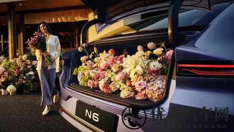 东风日产N6正式开启预售 插混轿车市场迎来新选择-1