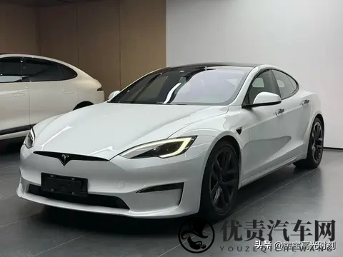 特斯拉价格博弈：一场关于消费选择与权力的游戏-3