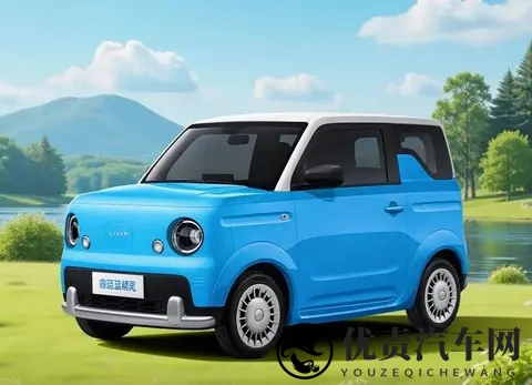 续航突破210km，8英寸大屏，全新睿蓝新车女生完全抵抗不了-1