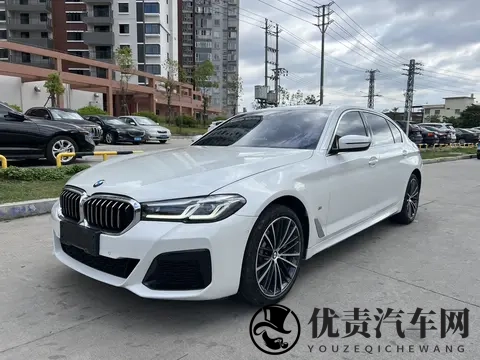 27万不到,圆你蓝天白云梦?21款宝马5系代步香不香?-3