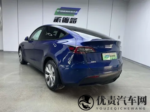 18万多拿下蓝色Model Y，体验5秒加速的乐趣！-3