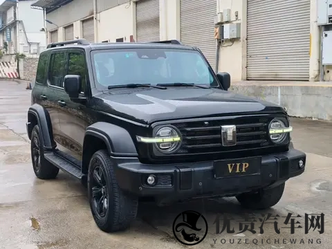 二手坦克300：20T征服者，圆你越野梦，126万！-3