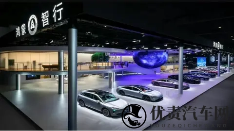 赛力斯A+H上市,华为借道融资?-1