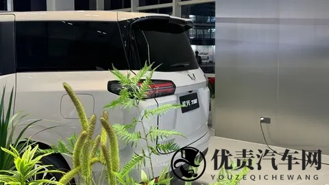 五菱星光730正式上市，限时71万起，哪款配置适合入手？-2