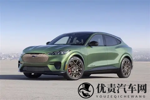 福特CEO：对特斯拉及中国造车新势力的领先水平感到惊讶-2