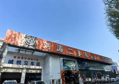 新能源购置税减半落地，泸州车友该如何把握？-2