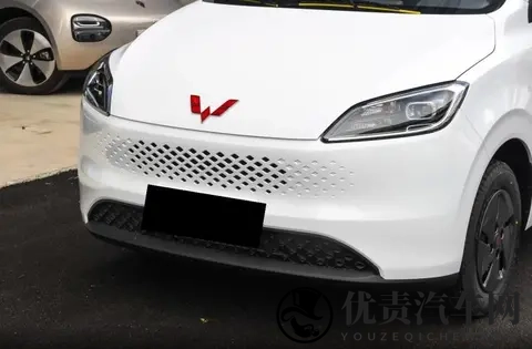 整成了“帅小伙”的模样，五菱神车还有人爱吗？或许价格仍是秘籍-2