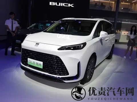 1-10月MPV销量排行榜!-2