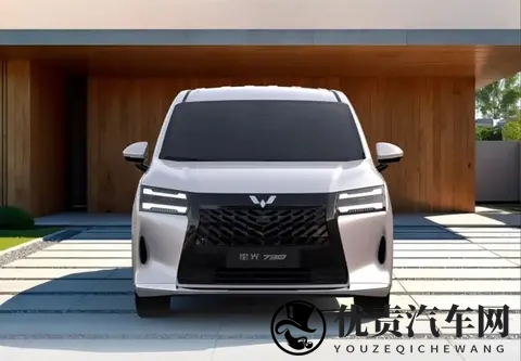 置换补贴价710万起！五菱星光730正式上市，三种动力系统-2