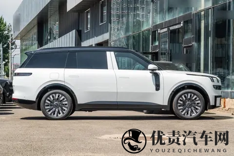 别让“大三排”变“大焦虑”，乐道L90和领克900谁更懂二胎家庭？-2