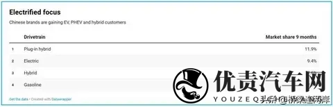 中国车欧洲斩获74%份额，为何德国市场仅29%？-2